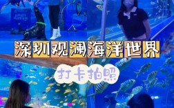 深圳海洋世界门票团票