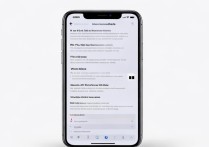 苹果手机怎么开高性能模式？普通用户也能轻松学会吗？