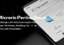 华为怎么打开麦克风权限管理，华为手机麦克风权限在哪里设置开启