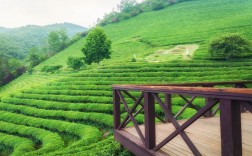 杭州茶山风景区