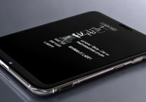 Xiaomi 12 Pro天玑版2025年还支持多少W快充？