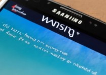 三星s3锁屏后无法开机，强制格机会丢失数据吗？