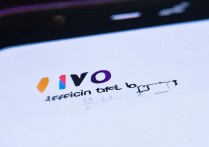 vivo官网打不开怎么办？具体解决步骤是什么？