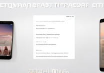 oppo手机怎么设置壁纸？新手操作步骤详解