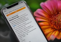 vivox9s微距拍照怎么用？新手必学技巧分享