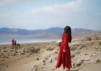 苹果手机没有按键声音怎么办？设置里哪项被关了？