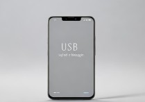 小米手机 usb 调试在哪？