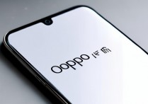 oppo手机怎么不横屏？开启横屏显示的方法是什么？