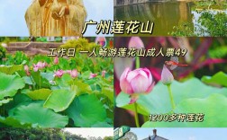 广州莲花山旅游攻略，如何规划一次完美的行程？