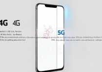 华为nova6如何区分5G和4G版本？