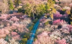 南京自然风景区图片