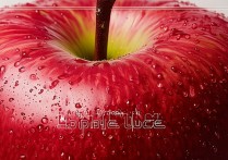 苹果怎么来电大头像？iPhone来电全屏照片设置方法