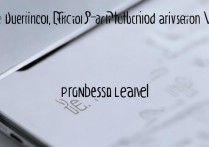 真我Q3s屏幕峰值亮度多少？配置参数详解