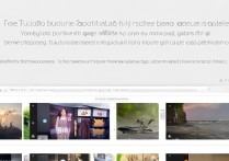 华为P10相册拼图教程在哪？新手必看步骤详解！