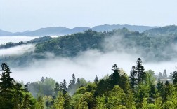 雅安碧峰峡风景区图片