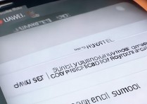 华为怎么用指纹支付密码，华为手机指纹支付设置方法