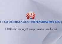 华为手机锁屏断网怎么办？后台应用权限设置对了没？