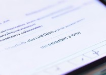 vivo v3max怎么看版本号？系统设置里查还是拨号键查？