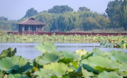 大芦湖风景区