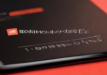 小米会员费
