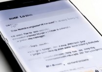 三星s8怎么设置大图标，三星s8手机设置大图标方法