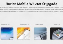 华为随行WiFi系统升级步骤是什么？新手必看指南！