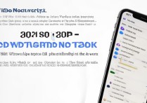 苹果手机怎么设置成2g网络？操作步骤和注意事项是什么？