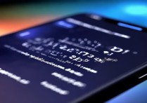 多闪聊天记录在哪删？手机端操作步骤详解。