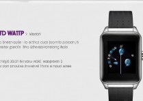 华为手表2网络怎么用？eSIM连接还是手机共享？