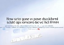 oppo桌面权限怎么设置？新手必看操作指南！