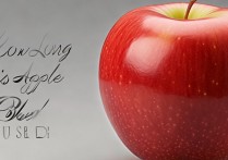 苹果手机用了多久怎么看？苹果手机查看使用时长的方法