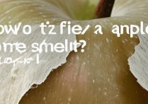 苹果后壳掉漆了怎么办？自己能修复吗？