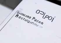 oppo手机摄像头权限怎么开启？设置入口在哪找？