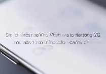 vivox9卡1怎么切换2G网络？设置步骤是什么？