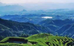 佛山茶山风景区