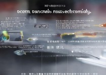 B 站付费视频支持投屏操作吗？B 站视频投屏方法