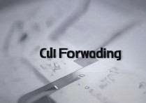 oppo怎么呼叫转移？oppo手机呼叫转移在哪里设置