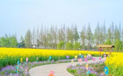 苏州花海景区