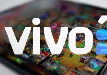 vivo王者荣耀怎么粘贴名字，王者荣耀无法粘贴昵称怎么办