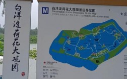 保定白洋淀旅游攻略，如何规划一次完美的旅行体验？