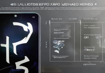 怎么获得OPPO李小龙手机?限量款购买渠道是什么?