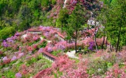 岳西风景区