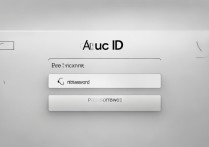 apple id 密码