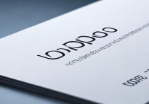 OPPO名片格式化后数据能找回吗？格式化前要备份哪些信息？