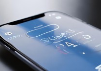 oppo 手机怎么显示步数？