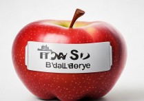 苹果手机原装备用电池怎么买？更换备用电池要注意什么？