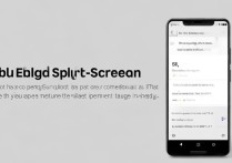 iqoo u3在哪打开分屏？分屏方法教程分享