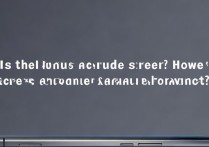 小米10s是曲面屏吗？屏幕和双扬声器表现如何？
