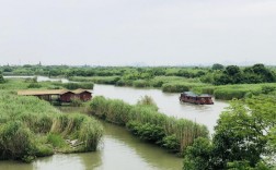 下渚湖湿地风景区