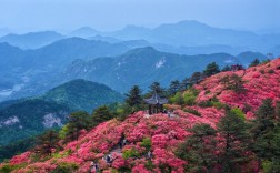 湖北麻城龟山风景区